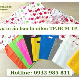 Các kiểu túi nilon thông dụng hiện nay và chỗ in túi nilon giá rẻ theo yêu cầu tại TP.HCM
